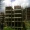 palgroup