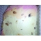 i m shocked about discovering fly in ur product