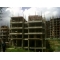 palgroup